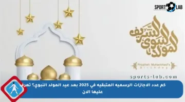 كم عدد الإجازات الرسمية المتبقية في 2025 بعد عيد المولد النبوي؟ تعرف عليها الآن